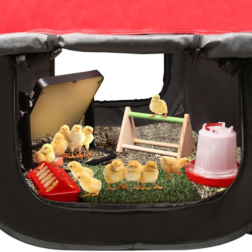 Brooder Box for Chick Starter Kit - 2026 Upgrade Dual Door Chicken Brooder Pen/Playpen/Tent with 10*10 in Brooder Heating Plate,Nesting Pad,Chicks Feeder＆Waterer,Chick Perch Up to 15 Chicks,Duck,Quail - color: red