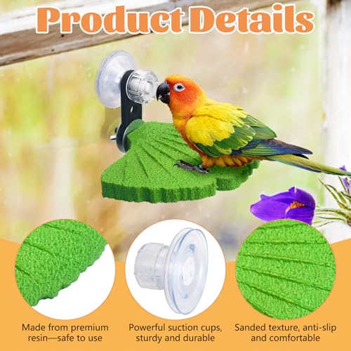 3PCS Bird Perch Bird Beak Grinding Stone with Suction Cups for Small Birds Foot Claws Trimmer Bird Stand Platform Parakeet Cage Perch Parrot Cage Accessories for Indoor Window Viewing (Green) - color: Green, size: Suction cup style