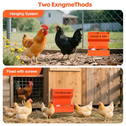 CHUANGFENG Chicken Feeder – Wall Mounted Metal Oyster Shell & Grit Feeder for Chickens, Heavy Duty Coop Feeder with Rust-Resistant Steel, Ideal for Backyard Poultry & Small Farms
