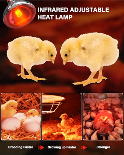 Heat Lamp Bulbs for Chickens Coop Brooder with Plug in Cord,On/Off Switch,150 Watt E26 Reptile Heat Lamp Bulb Infrared Red Light for Chicks,Birds,Ducks,Dogs,Cats