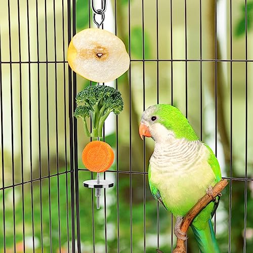 Bird Food Holder Stainless Steel Fruit Vegetable Stick Skewer for Parrots Cockatoo Cockatiel Cage Treating Tool (L: 7.86inch) - size: L: 7.86inch