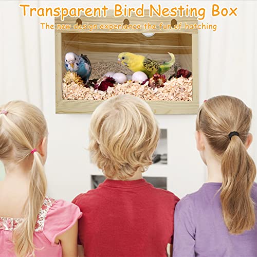 PINVNBY Natural Wood Parakeet Nesting Box Budgie Breeding Box Acrylic Bird Nest for Cage Transparent Panoramic for Parrots, Cockatiels, Lovebirds, Canaries, and Small Birds (M: 9.8 x 5.1 x 5.1 inch) - size: M: 9.8 x 5.3 x 5.3 inch