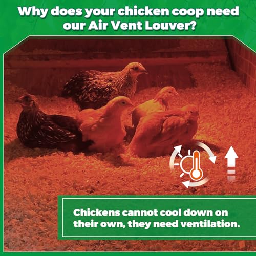 Forestchill Air Vent Louver for Chicken Coop, 6" x 6" Air Vent Grille with Built in Screen Mesh, Louvered Exhaust Grille for Chicken Coops Ventilation, Black