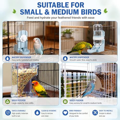Rypet No-Mess Bird Feeder and Water Dispenser Set for Small Birds | Automatic Bird Feeder, Transparent Acrylic Food Container, Helps Reduce Seed Scatter, for Parakeet Cockatiel Parrot Canary - color: White Feeder + Blue Drinking Bottle