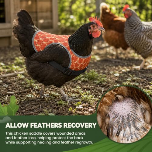 Chicken Saddle for Hens, Adjustable Hen Apron Back Protector for Protection Feather Regrowth, Waterproof Breathable Chicken Clothes with Straps, Apron for Medium to Large Hens Saddle（Orange） - color: Orange