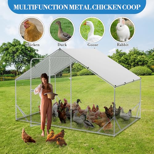 GarveeTech 6.5FT Walk in Chicken Coop Metal, Large Chicken Run with Triangular Brackets, Waterproof & Anti-UV Cover, Poultry Cage for Duck Goose Rabbit, Hen House for Yard Backyard Farm, 6.6' h - size: 9.8' x 6.5' x 6.5'