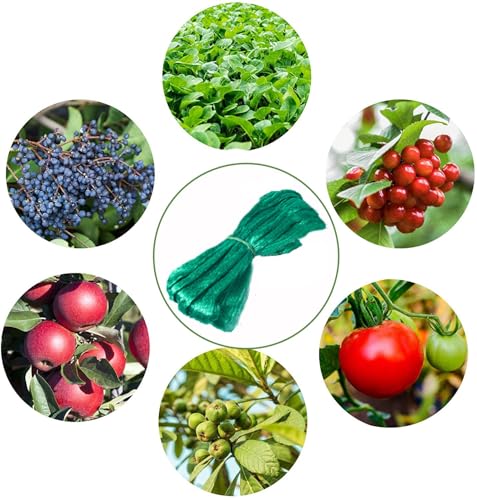 13Ft x 33Ft Anti Bird Netting Protection Mesh Garden Netting Seedlings Plants Flowers Fruit Trees Vegetables from Rodents Deer Reusable Fencing, Green - color: Green