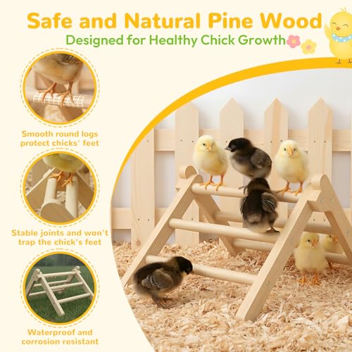 Chick Perch Foldable, Chick Toys Stable & No Assemble | Baby Chick Toys for Stand Training, 12.44" ×11.02" ×7.44" Chick Roosting Perch for Chicks Brooder | Coop (L) - size: 12.44" ×11.02" ×7.44"