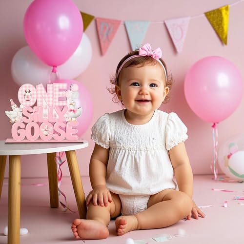 One Silly Goose Birthday Decor Girl Wooden Goose Table Decor Pink One Silly Geese Birthday Centerpiece for Table Funny Geese Desk Sign Supplies for Farm Animal First Celebration
