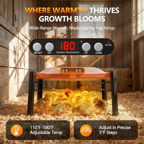 11 x 15 Chick Brooder Plate & Chicken Coop Heater, Smart Display | Temperature Display, Adjustable Height, Memory Function, Overheat Protection for Safety, 150W Energy Efficient