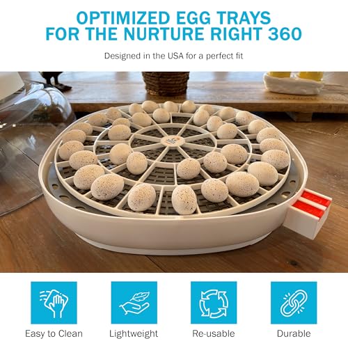 Durable Egg Tray for Nurture Right 360 Egg Incubator, 48 Quail/Bird Eggs - size: 12.3"L x 12.3"W x 0.7"H