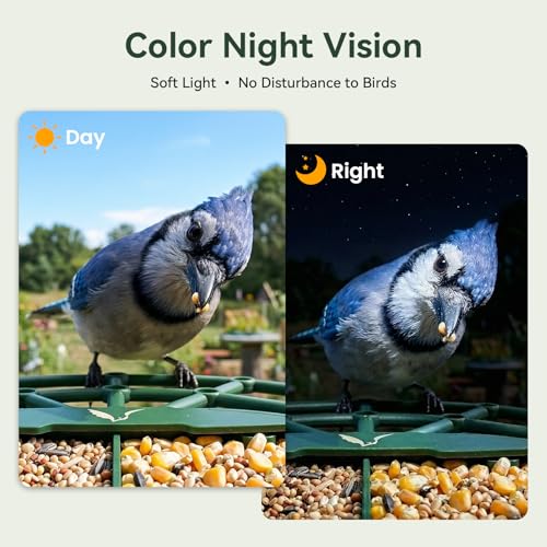 Smart Bird Feeder with Camera, 11000+ AI Bird Recognition, 2K HD Color Night Vision, IP65 Waterproof Solar Powered Bird Feeder with 142° Wide Angle, Motion Detection for Outdoor Garden, Ideal Gift
