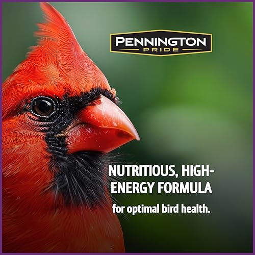 Pennington Songbird Nut & Fruit Blend Wild Bird Seed for Outside Feeders | Songbird bird seed for outside feeders, advanced nutrition formula with real fruit, nut & seeds, birdseed for wild birds