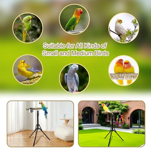 16-63 Inch Height Adjustable Bird Perch Pepper Wood Bird Training Perch Stand Parakeet Perches Indoor and Outdoor Parrot Stands for Small to Medium Bird - size: Floor Bird Perch