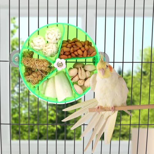 Bird Creative Foraging System Wheel Seed Food Ball Rotate Training Toy for Small and Medium Parrots Parakeet Cockatiel Conure (Green) - color: Green
