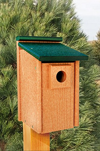 Going Green Bluebird House