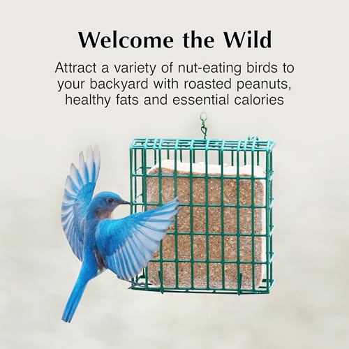 C&S Peanut Butter Delight No Melt Suet Dough, Suet Cakes for Wild Birds Including Wrens, Woodpeckers, Cardinals, Songbirds, Jays and More, 8 Pack - size: 11.75 Ounce (Pack of 8), style: Peanut Butter, 8 Pack