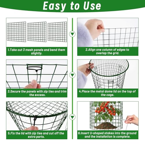 Convivium Plant Protectors from Animals 6 Packs, 13 x 12 in Metal Chicken Wire Cloche Plant Cages for Outdoor Plants, Garden Fencing Animal Barrier with Detachable Dome Lid, Stakes & Zip Ties