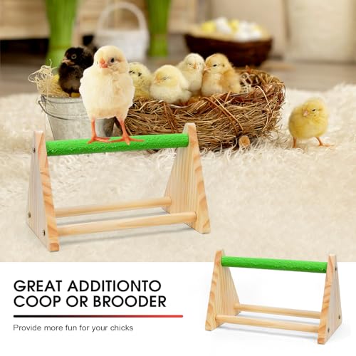 Chick Brooder Box, Chick Starter Kit with Heat Lamp, Chick Perch, Flip Top Poultry Feeder, Baby Chicken Supplies for Duck and Quail