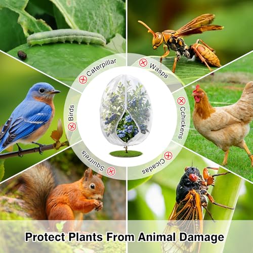4PCS 4Ft × 5Ft Fruit Tree Netting with Zipper and Drawstring, 60 Mesh Thickened Garden Bird Netting for Blueberry Bushes, Fruits, Vegetables, Insect Bird Barrier Mesh Protective Cover - size: 4Ft × 5Ft