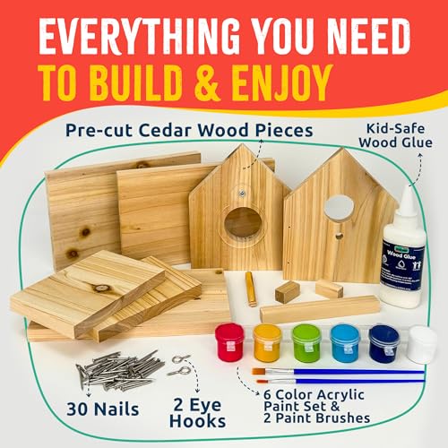 Jr Bird House Kit, DIY Cedar Wood Birdhouse for Outdoors with Paint | Fun for Kids & Adults, Bird House Making Kit for All Ages (1-Pack)