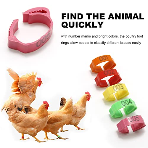 100 Pcs Chicken Leg Bands Adjustable Chicken Marker 6 Slots 20mm Chicken Leg Marker Rings Colorful Poultry Leg Rings Numbered Chicken Leg Rings (Red Rose Orange Yellow Green)