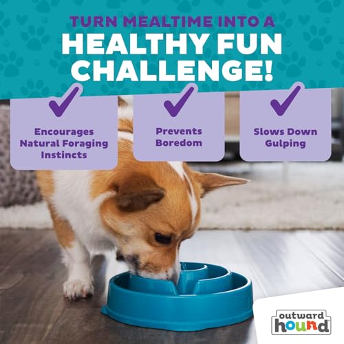 Outward Hound Fun Feeder Slo Bowl – Medium 2‑Cup Capacity,Slow Feeding,Small to Medium Dogs & Cats,Non-Slip,Turquoise,Drop Pattern,(Pack of 12) - color: Turquoise, size: Medium (Pack of 12)