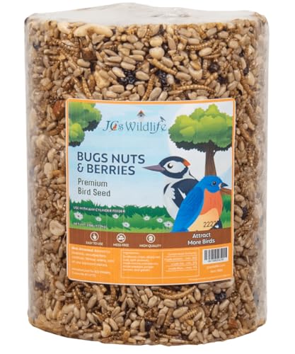 JCs Wildlife Bird Seed Cylinder with Hole Variety Pack, Premium Blends Wild Bird Food for Outside Feeders, Cardinals Woodpeckers Finches Bluebirds Chickadees, Made in the USA, Large, 5 Pack