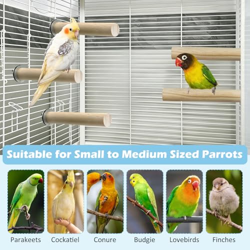 Tfwadmx 8 PCS Parakeet Perch Bird Stand Toy Natural Wood Platform Grinding Nail Cage Accessories for Small Birds Cockatiels Lovebirds Budgie Parrots