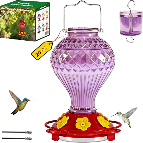 Glass Hummingbird Feeder for Outdoors Hanging, 20 oz Nectar Capacity, 6 Feeding Ports, Leak-Proof Rust-Free Plastic Base, Easy to Refill & Clean, Decorative Purple Glass Bird Feeder for Garden Patio - color: Purple, size: 20 Fluid Ounces