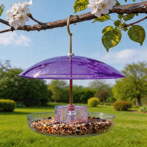 8" Mini Plastic Rain Cover for Bird Feeder, Purple Weather Guard Dome | Stainless Hooks Baffle, Small Protective Shield for Hanging Outdoors, Bird House Protector against Snow/Sun/Poop, Dia. 20cm - color: Purple, size: 1PC/Pack