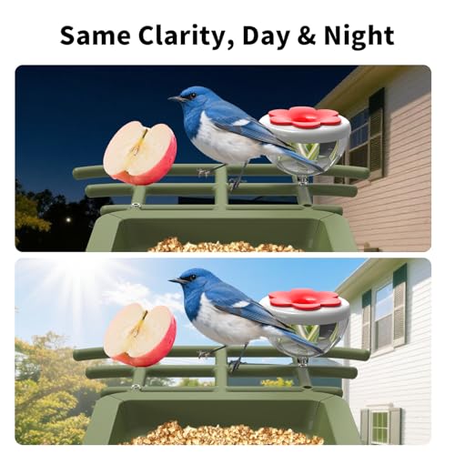 Smart Bird Feeder with Camera, Solar Powered 3MP WiFi Bird Camera with AI Identification, Motion Alerts, Live View, 5000mAh Battery, Outdoor Gift for Bird Lovers