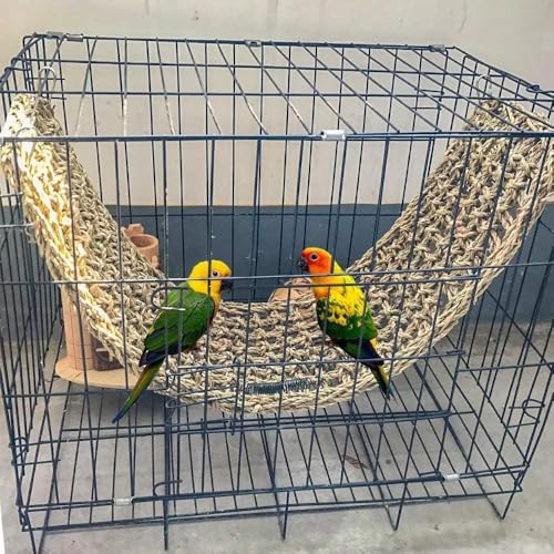 2Pcs Bird Seagrass Mat 30 × 7" Natural Grass Woven Net Hammock with Hooks Climbing Rope Ladder Chew Toys Hanging on Parrot Cage for Lovebird Pigeon Cockatiel Conure Budgie Cockatoo - size: 2Pcs 29.5" × 7"