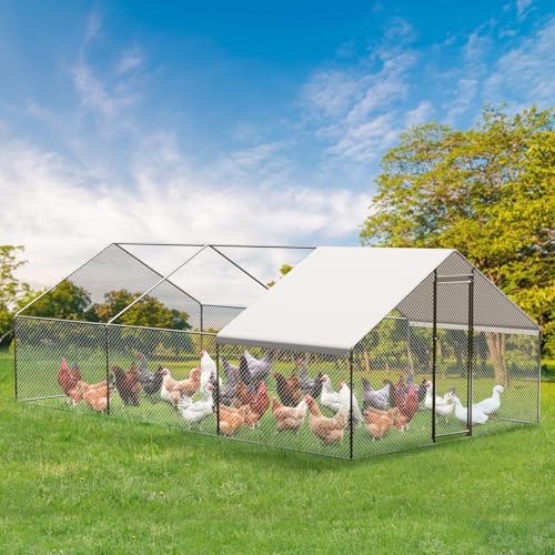 GarveeTech Large Walk-in Chicken Coop with Run, 9.8' x 19.7' Outdoor Chicken Runs for Yard with Cover, Metal Poultry Cage for Chickens, Ducks, Birds