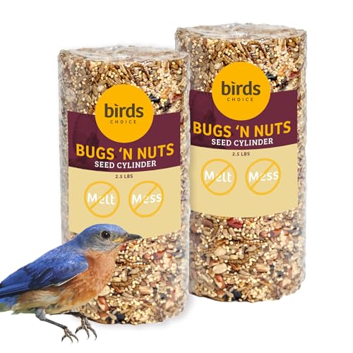 Birds Choice Bugs 'N Nuts Cylinder Seed | Wild Bird Food with Insects & Fruit | High-Energy Mix of Sunflower Hearts, Peanuts, Mealworms & Tree Nuts | High Protein & Bird Feed | 2.5 lbs (2-Pack) | High-Energy Mix of Sunflower Hearts, Peanuts, Mealworms and