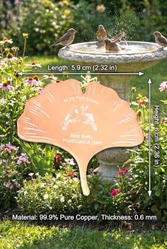 3-Pack Bird Bath Copper Disk, 99.9% 0.6mm Thick Pure Copper Bird Bath Disc | beautiful leaf design, high-quality copper material,get 3 pieces with one purchase