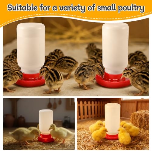 Enhon 4 PCS 1 Sizes Quail Waterer Base, Quail & Chick No Drown Water Base, Safety Waterer, Compatible with 2.5inch Threaded Neck Bottle for Brooding Chicks(Bottle not Included) - size: 1 Sizes