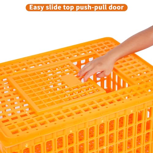 lukar 1 Piece Poultry Carrier Crate Heavy Duty Chicken Transport Cage | Plastic Chicken Carrier Crates Transport Box for 10-13 Adult Chickens Duck Goose Birds, 29.5 x 21.7 x 13 Inch