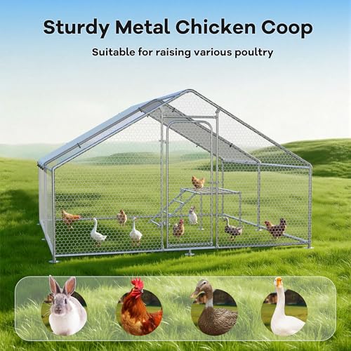 Large Metal Chicken Coop with Roosting Ladder, UV-Resistant and Waterproof Cover, Outdoor Walk-in Cage Hen House for Yard Farm Rabbit Duck Chicken Run, Spire Roof (13.1'W x 9.8'L x 6.4'H)