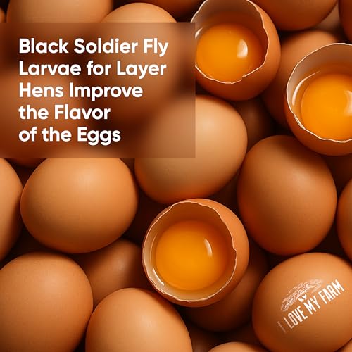 10 lb Dried Black Soldier Fly Larvae, High Protein Poultry Treat BSF | Naturally rich in protein and calcium for chickens, ducks, poultry, wild birds and reptiles
