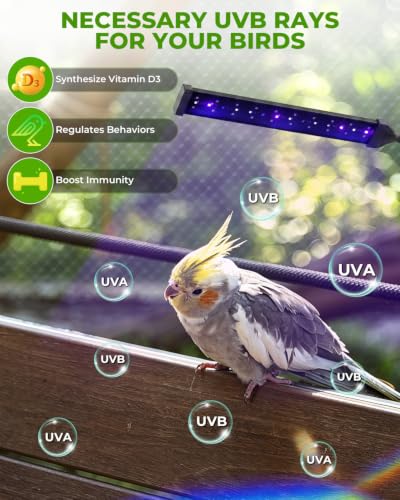 UVB Light for Birds, Full Spectrum LED Bird Cage Light for Parrot | UVB 2.4 Clip Lamp with 24H Cycle Timer for Captive Birds, a Round Platform Included, 3 Lighting Modes