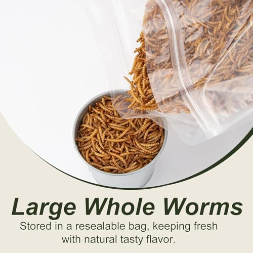 Adaman Dried Mealworms -10 LBS- 100% Natural Non GMO High Protein Mealworms - Bulk Meal Worms for Chickens & Birds, Ducks - Best Chicken Treats, Bird Food, Turtle Food - size: 10 Pound (Pack of 1)