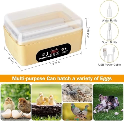 GROZY 6 Eggs Egg Incubator, USB Powered Automatic Hatching Machine with Digital Temperature Control & LED Display, Mini Poultry Hatcher for Chicken, Duck, Quail, Pigeon Eggs