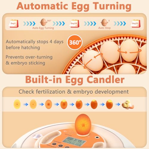 26 Voice-Controlled Incubator for Hatching Eggs, Temp & Humidity Control | 2 Egg Trays for 26 Chicken/59 Quail Eggs, Auto Egg Turning, Egg Candler, Temp & Humidity Alarm, High Hatch Rate, Easy to Use