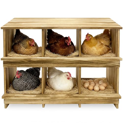 6 Holes Gold Standard Chicken Nesting Box for Laying Eggs, Two-Tier Wooden Nesting Boxes for Chickens, Farmhouse Series Laying Box for Hens, Ducks and Birds - color: Wooden 6-Hole