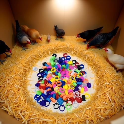 100PCS 10 Colors Poultry Leg Rings,8mm Poultry Foot Rings Bird Identification Leg Bands Clip-on Rings for Birds, Ducks and Chickens Diameter Poultry Care