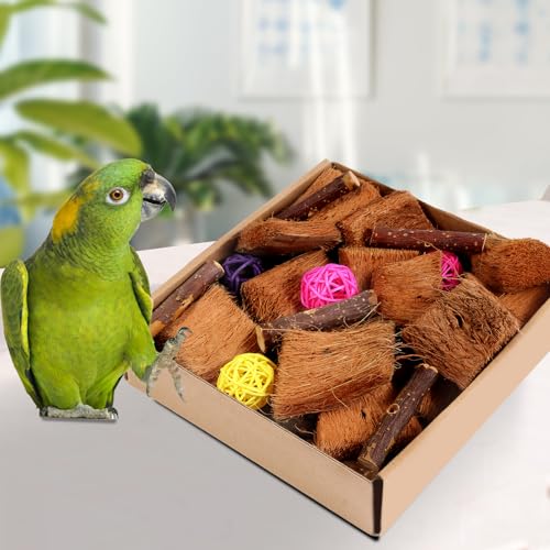 Kyouki Bird Toy for Parrots，Cockatiels, Budgies, Conures, Macaws, Lovebirds, Amazons and Other Small/Medium/Large Birds - Chewable & Shreddable Natural Coconut Husk Enrichment Toy (Medium DIY) - size: Medium DIY