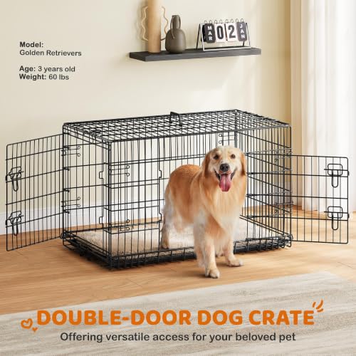 Yaheetech 42inch Double Door Dog Crate w/Divider, Collapsible Metal Kennel | Heavy-duty Sturdy Metal Frame, Easy Assemble, Fold Up for Travel, Removable Tray, Ideal for Puppies, Medium to Large Dogs - size: 42" L