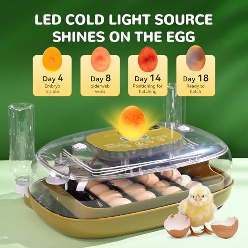 24 Egg Incubator with Automatic Turner, Thermometer seat and Humidity Control - Perfect for Hatching Chicken, Includes Egg Candler and Nesting Pads for Chicken coop