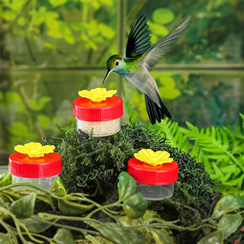 8 Pcs Hummingbird Feeder Handheld Window Flower Mini Hand Held Hummingbird Ring Feeders Wild Bird for Outdoors Backyard Birdwatcher Gifts Supplies(Clear Bottom) - color: Clear Bottom